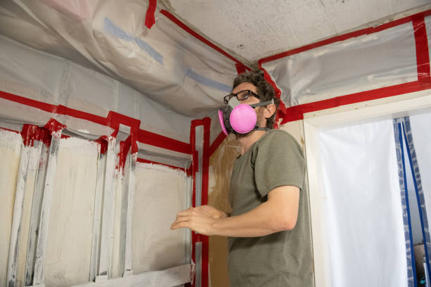 Mold Remediation for Vacation Homes in Pittsburgh, PA